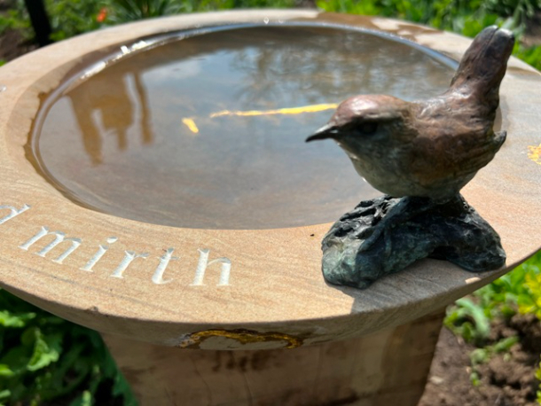 close up of Wren Bronze by JOEL