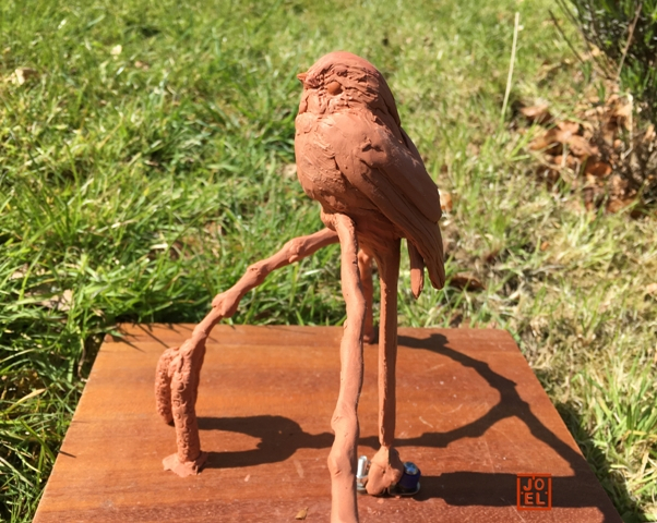 Long Tailed Tit clay stage by JOEL