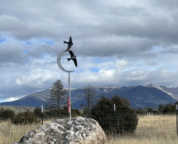 Purple Martin Moon against New Mexico sky