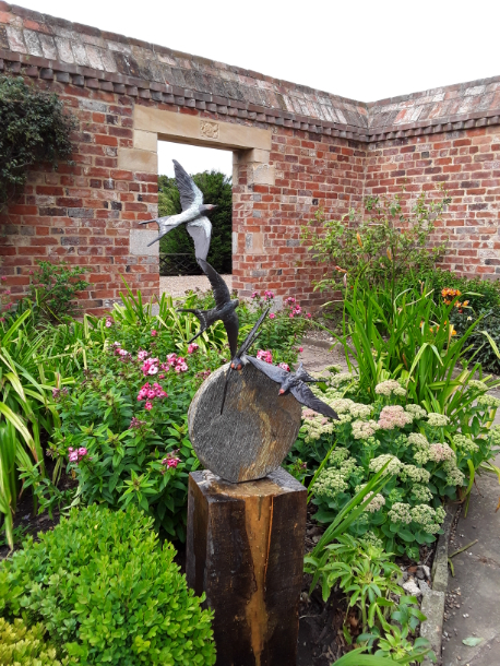 Swallow Spectacular Joy by JOEL in summer garden
