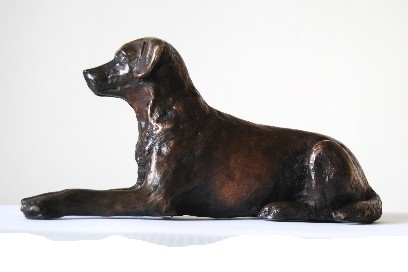 Labrador News – Bronze Labradors Making Great Gifts