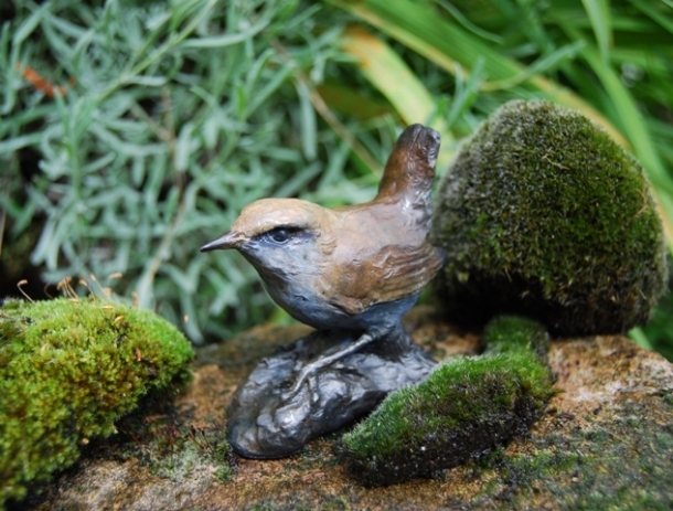 Moss Rescue for Mossy Tops