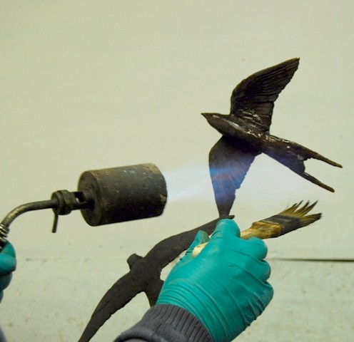 Swift, Swifts, Swifts in Bronze!