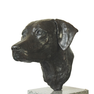Bronze Dogs – Labrador Portrait Head